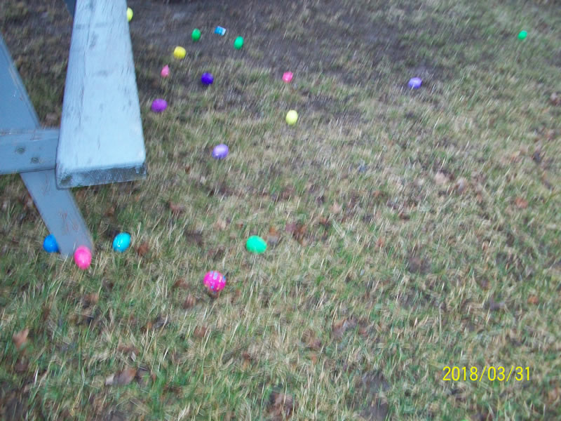 https://www.dundeemill.org/pictures/2018/1 100_1223.jpg